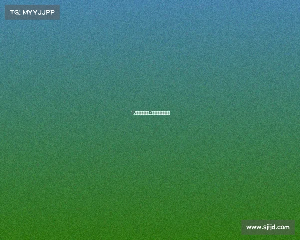 12年后，日产Z终于迎来了换代